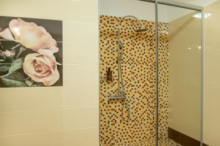  bathroom with shower