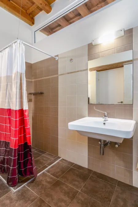  bathroom with shower