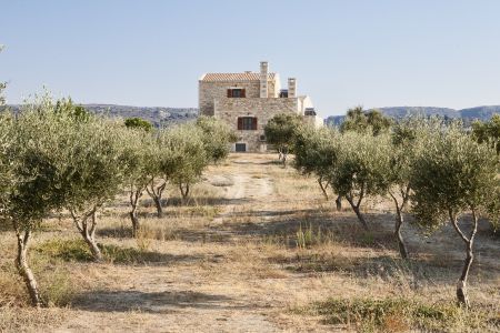  olives and house