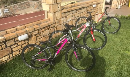 bikes for free