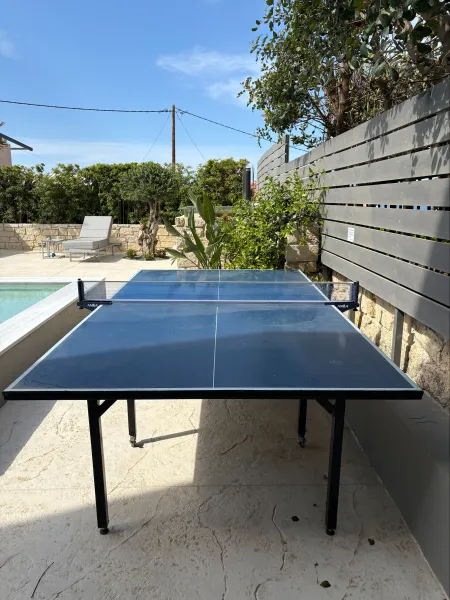  Ping Pong