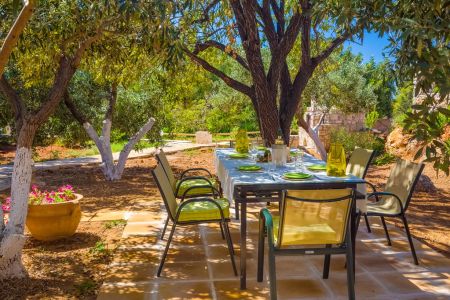 table under the trees
