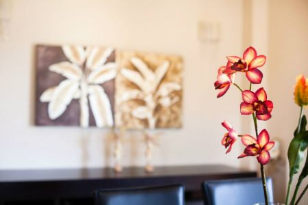 decoration