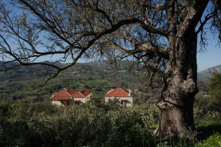 nearby houses