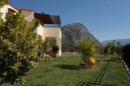 garden and view