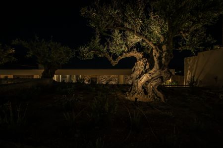  house at night