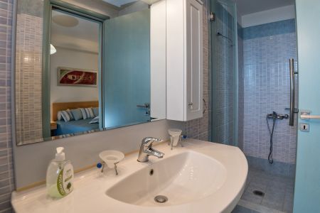  shower sink
