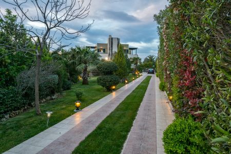  green patio