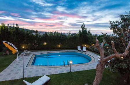  pool and trees