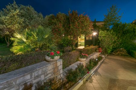  trees at garden