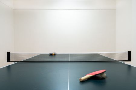  ping pong table