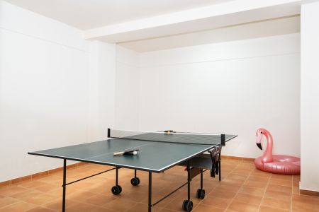  ping pong table