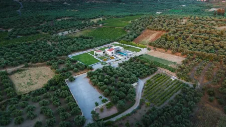 The Estate