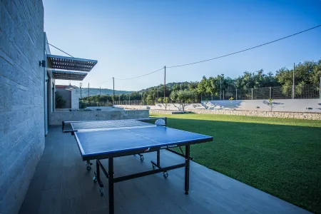  Ping Pong