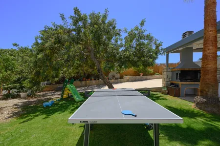  ping pong table
