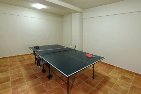   ping pong table