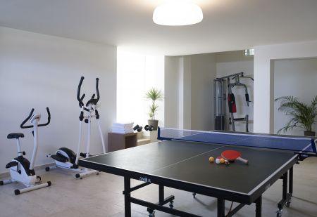  ping pong table (villa one)