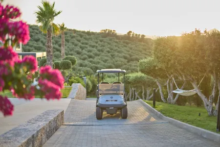  golf cart