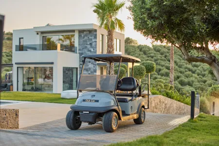  golf cart