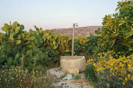  outdoor shower