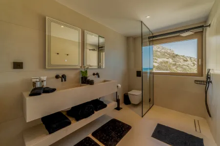  the shower in the bathroom