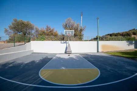  bassketball court