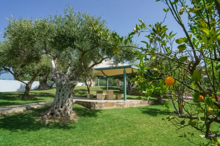  garden