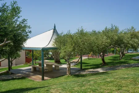  garden
