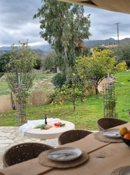   outdoor dinning table