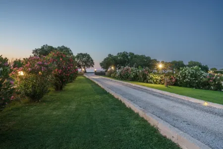  Path to the beachside