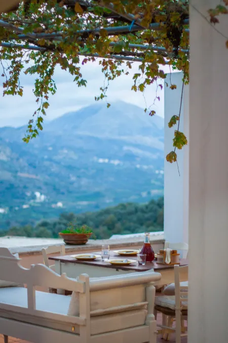  view from outdoor dining area