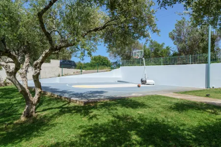  Basketball court