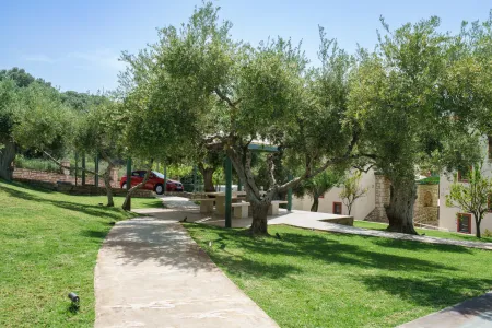  Garden