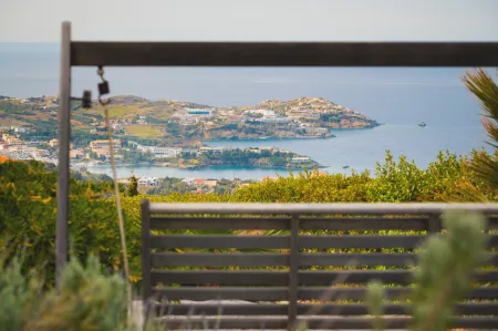  view