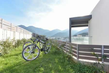 bicycles