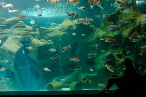 10 Activités Familiales à Proximité de nos Villas d'Exception en Crète