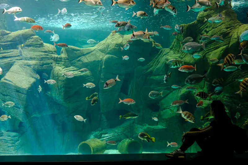 10 Familienfreundliche Aktivitäten in der Nähe unserer exklusiven Villen auf Kreta