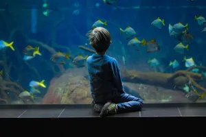 Héraklion pour les enfants: où aller et s'amuser