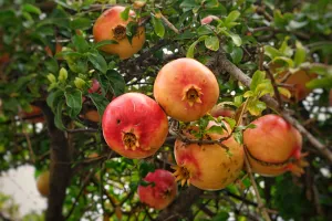Crète en novembre: une sensation de bien-être