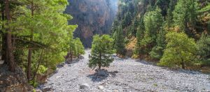 Samaria Gorge