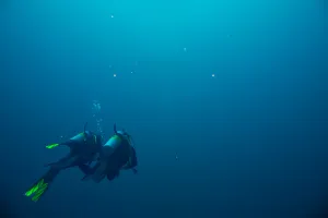 Plongée sous-marine (temps de se mouiller)