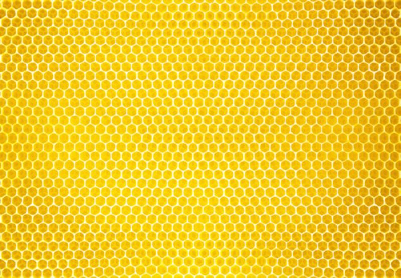 Crete of Honey- honey of Crete