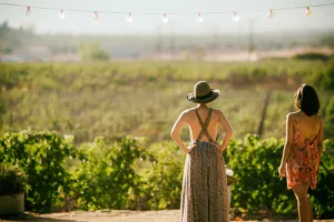  Wine in Eastern Crete