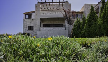  grass and villa 