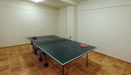   ping pong table
