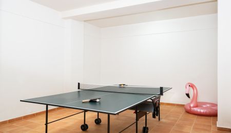  ping pong table